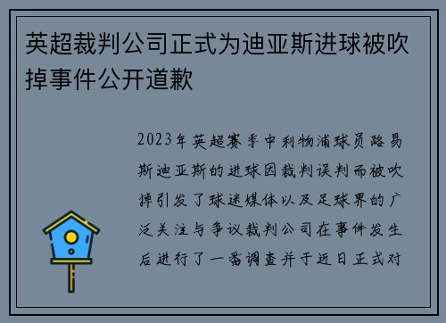 英超裁判公司正式为迪亚斯进球被吹掉事件公开道歉